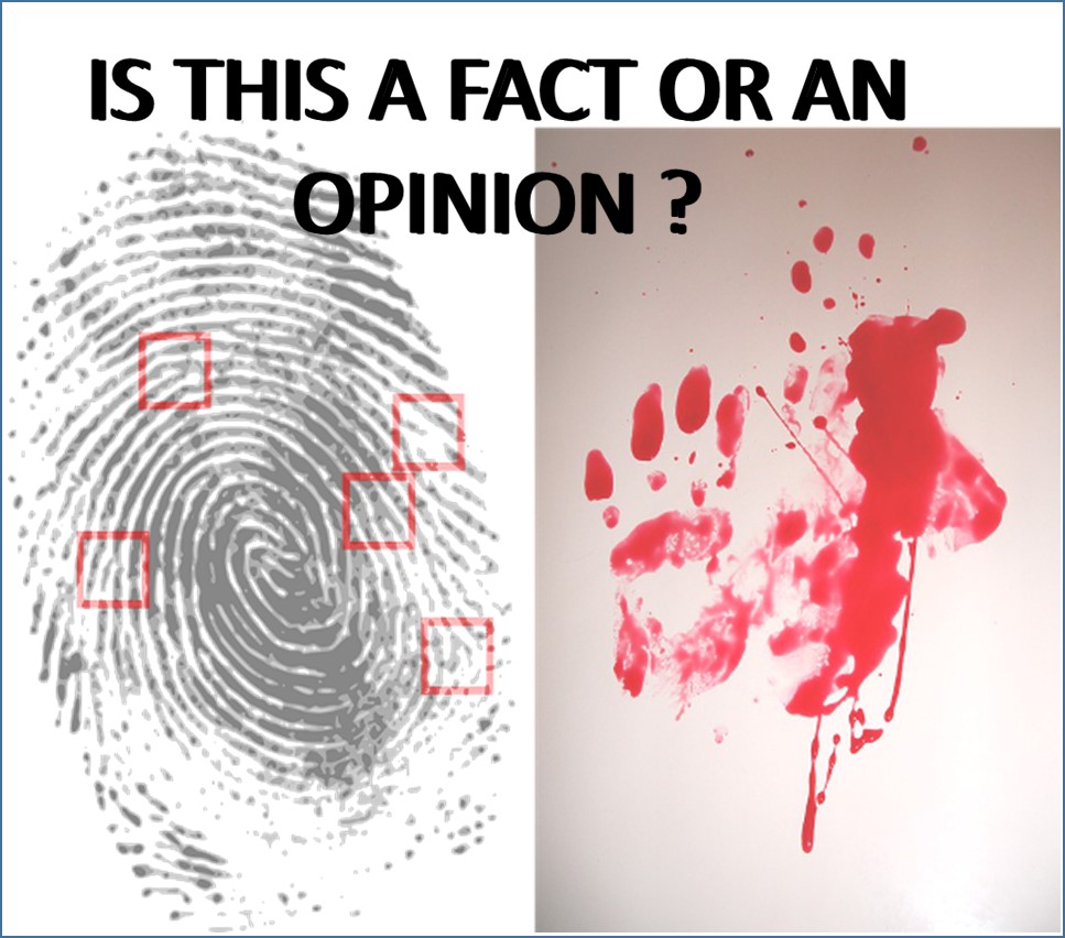 is-this-a-fact-or-an-opinion